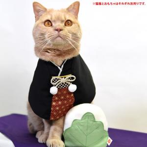 猫服 ワンタッチコーデ おめかしして袴気分 ロング 麻の葉レッド
