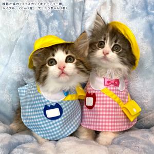 ゴロにゃんオリジナル 猫服 ワンタッチコーデシリーズ 幼稚園気分 S