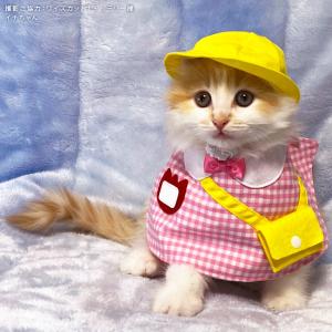 ゴロにゃんオリジナル 猫服 ワンタッチコーデシリーズ 幼稚園気分 S