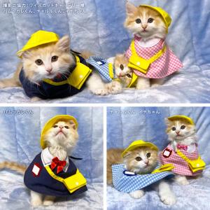 ごろ猫 ゴロにゃんオリジナル 猫服 ワンタッチコーデシリーズ 幼稚園気分 S