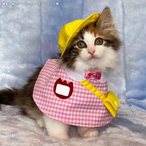 ねこ @ 洋服好き ゴロにゃんオリジナル 猫服 ワンタッチコーデシリーズ 幼稚園気分 S