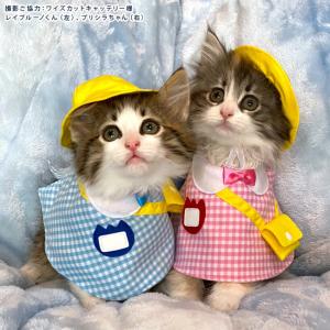 ゴロにゃんオリジナル 猫服 ワンタッチコーデシリーズ 幼稚園