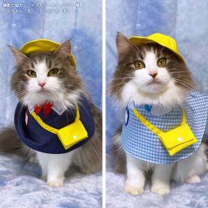 moko）猫ちゃんピンクニットM・和柄ブルー猫ちゃんTシャツM・猫パンツS ゴロにゃんオリジナル 猫服 ワンタッチコーデシリーズ 幼稚園