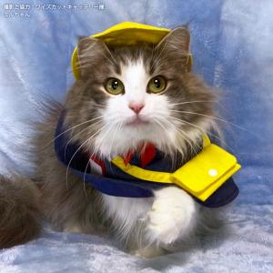 せっちゃん　ねこちゃん柄 ゴロにゃんオリジナル 猫服 ワンタッチコーデシリーズ 幼稚園