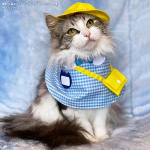 ゴロにゃんオリジナル 猫服 ワンタッチコーデシリーズ 幼稚園