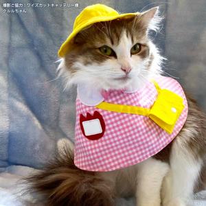 ゴロにゃんオリジナル 猫服 ワンタッチコーデシリーズ 幼稚園気分 M