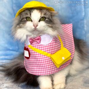 ゴロにゃんオリジナル 猫服 ワンタッチコーデシリーズ 幼稚園気分 M