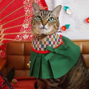 ゴロにゃんオリジナル 猫服 ワンタッチコーデシリーズ 大正ロマン乙女 