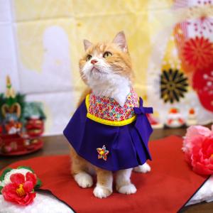 ゴロにゃんオリジナル 猫服 ワンタッチコーデシリーズ 大正ロマン乙女