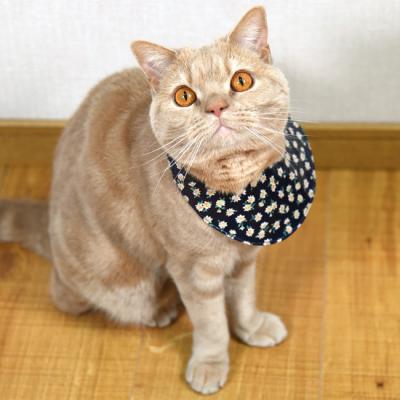 ふきとりやすい お食事エプロン ゴロにゃんオリジナル ラミネート