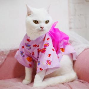 縁joy夏祭り 女の子浴衣 | オリジナル猫服 国産 | 猫用品の専門