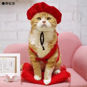 ゴロにゃんオリジナル 猫服 豪華長寿服セット 雲柄白金 (35695) ( 豪華