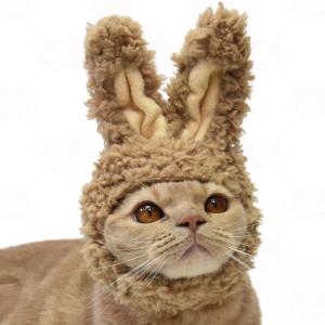 ゴロにゃんオリジナル 猫の被り物 モコモコうさぎさん 猫用 ペット用