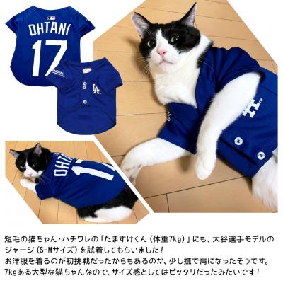 MLB公式 ロサンゼルス ドジャース 大谷翔平選手モデル ユニフォーム