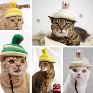 乃木坂46 生写真 猫耳ニット帽 干支　巳 へび 蛇 まとめ売り お正月 干支シリーズ へびさんのかぶりもの ゴロにゃんオリジナル 猫の