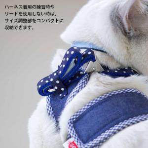 ゴロにゃんオリジナル 猫用ハーネス ダブルブロックタイプ 無地