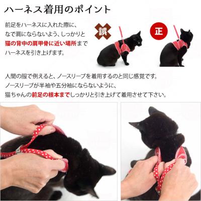 リード別売】ゴロにゃんオリジナル猫用ハーネス ダブルブロック