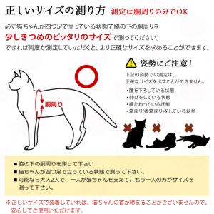 特許取得済】ゴロにゃんオリジナル猫用ハーネス ダブルブロック
