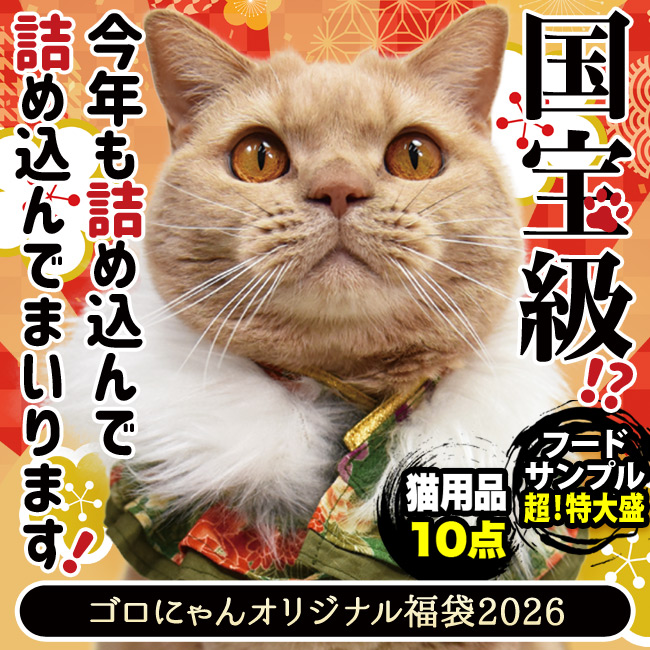ゴロにゃん福袋2026 国宝級！？今年も詰め込んで詰め込んでまいります
