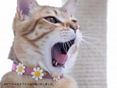おしゃれ猫首輪 外猫ちゃんもお洒落アイテム～柔らかフェイクレザー
