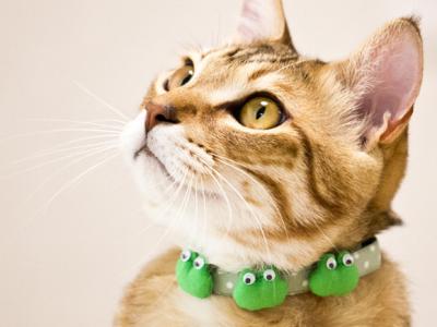 おしゃれ猫首輪 あわせてぷにゅぷにゅ3ぷにゅぷにゅおしゃれ猫