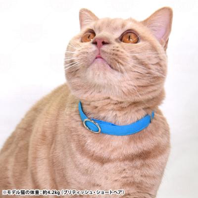 猫専門店ゴロにゃん☆公式通販サイト｜猫の首輪・猫用品・フード