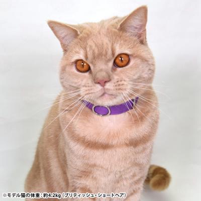 猫専門店ゴロにゃん☆公式通販サイト｜猫の首輪・猫用品・フード