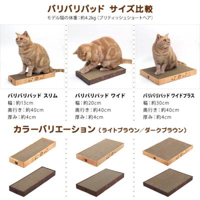 クリーブ ネコのパリ紀行 クリーブ ネコのパリ紀行