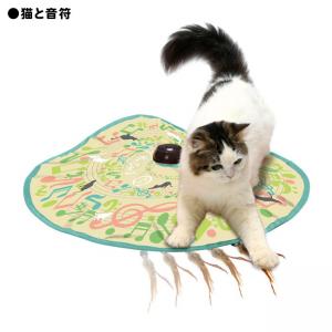 猫壱 キャッチミーイフユーキャン2 猫用 電動 おもちゃ