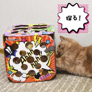 猫ちゃん専用 キャティーマン 猫ちゃんテンション爆アゲBOX (45280) 猫用おもちゃ