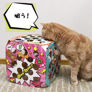 新品】こっちよネコちゃん / 心火GAMES 発売日:2025年05月頃