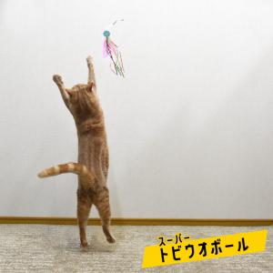 猫 おもちゃ 釣り竿の人気商品・通販・価格比較 - 価格.com