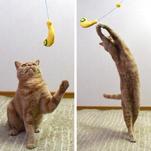 とびつくにゃんじゃらし バナナ (37095) ゴロにゃんオリジナル 猫用