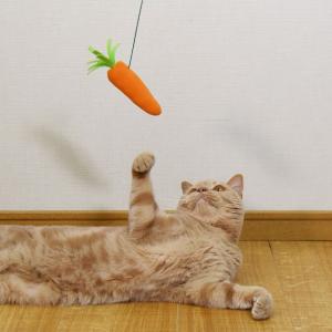 とびつくにゃんじゃらし にんじん (37545) ゴロにゃんオリジナル