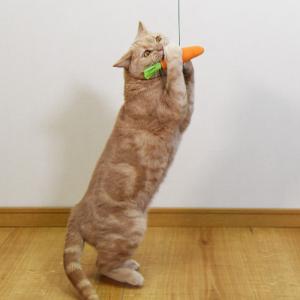 とびつくにゃんじゃらし にんじん (37545) ゴロにゃんオリジナル