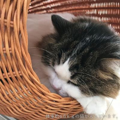 ゴロにゃんオリジナル ラタンベッド コクーン 猫用 ベッド