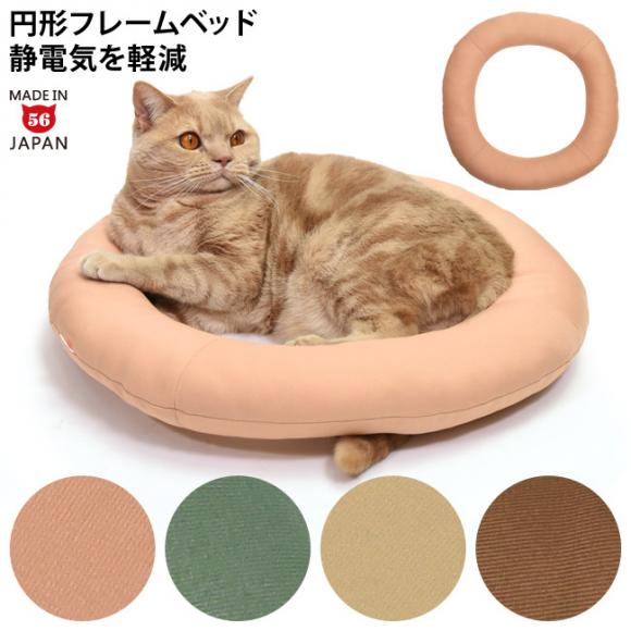 ���C���摜