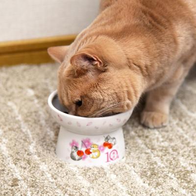 猫壱 脚付フードボウル レギュラー mofusand (82084) 猫用食器