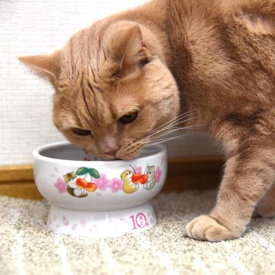 【Mau】猫ごはんLOWタイプブルー&ピンクセット 71ErHiR2n5L._UF894,1000_QL80_.jpg