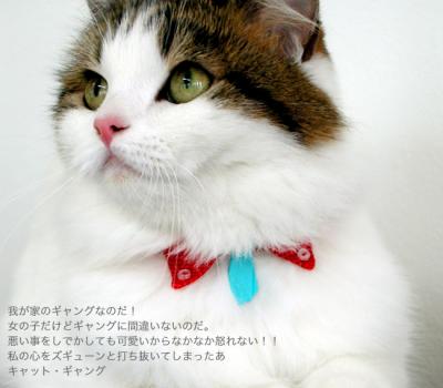 ちょこタイ猫ギャング首輪Mサイズ ネクタイ 襟付き 猫用首輪 ( ちょこ