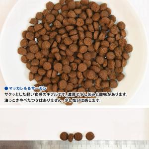 NATURE'S TASTE forCats ネイチャーズテイスト 猫用 アソートセット